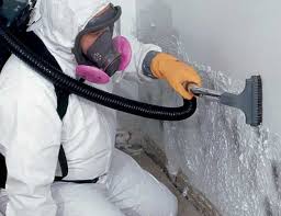 Best Airborne Mold Testing  in Ardsley, NY